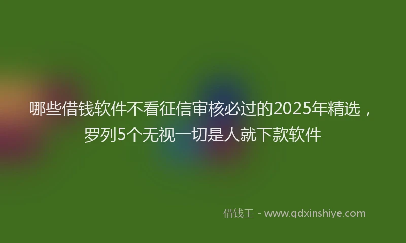 哪些借钱软件不看征信审核必过的2025年精选，罗列5个无视一切是人就下款软件