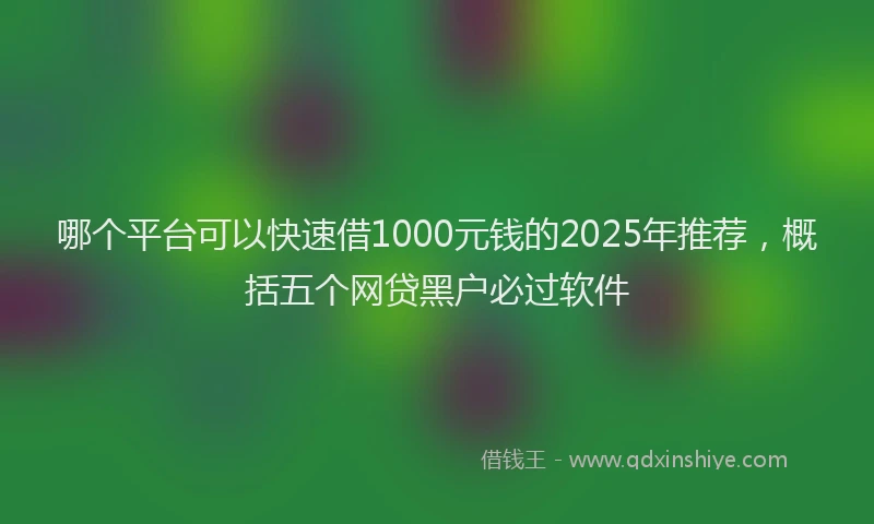 哪个平台可以快速借1000元钱的2025年推荐，概括五个网贷黑户必过软件