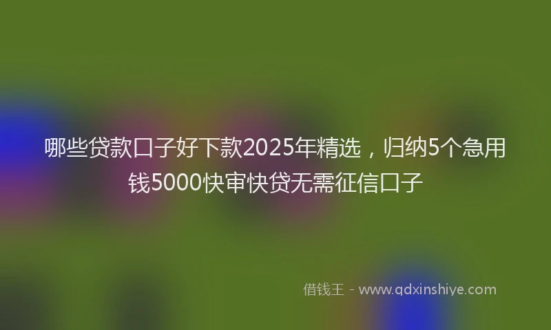哪些贷款口子好下款2025年精选，归纳5个急用钱5000快审快贷无需征信口子