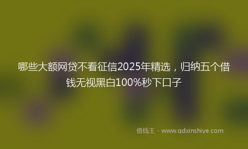 哪些大额网贷不看征信2025年精选，归纳五个借钱无视黑白100%秒下口子