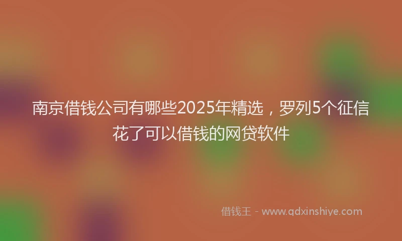 南京借钱公司有哪些2025年精选，罗列5个征信花了可以借钱的网贷软件