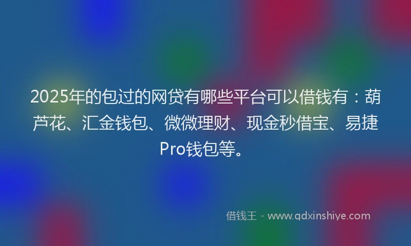2025年的包过的网贷有哪些平台可以借钱有：葫芦花、汇金钱包、微微理财、现金秒借宝、易捷Pro钱包等。