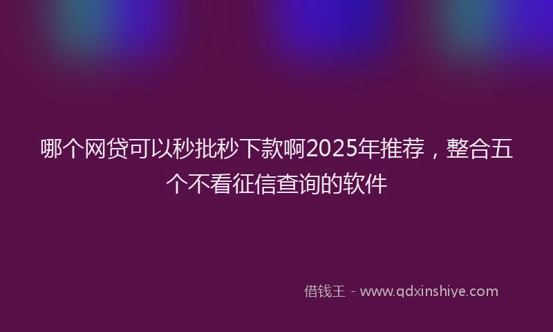 哪个网贷可以秒批秒下款啊2025年推荐，整合五个不看征信查询的软件