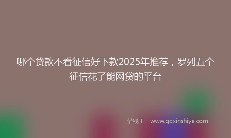 哪个贷款不看征信好下款2025年推荐，罗列五个征信花了能网贷的平台