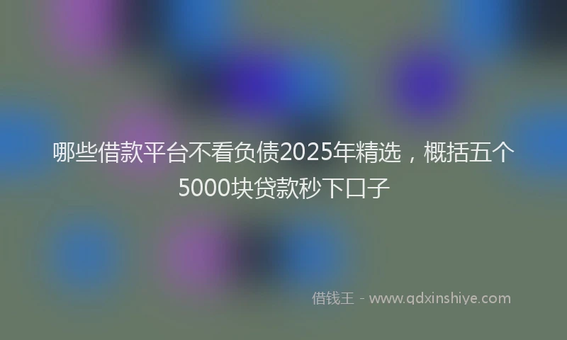 哪些借款平台不看负债2025年精选，概括五个5000块贷款秒下口子
