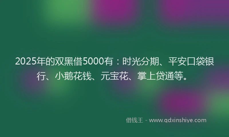 2025年的双黑借5000有：时光分期、平安口袋银行、小鹅花钱、元宝花、掌上贷通等。