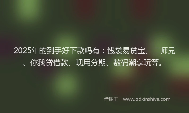 2025年的到手好下款吗有：钱袋易贷宝、二师兄、你我贷借款、现用分期、数码潮享玩等。
