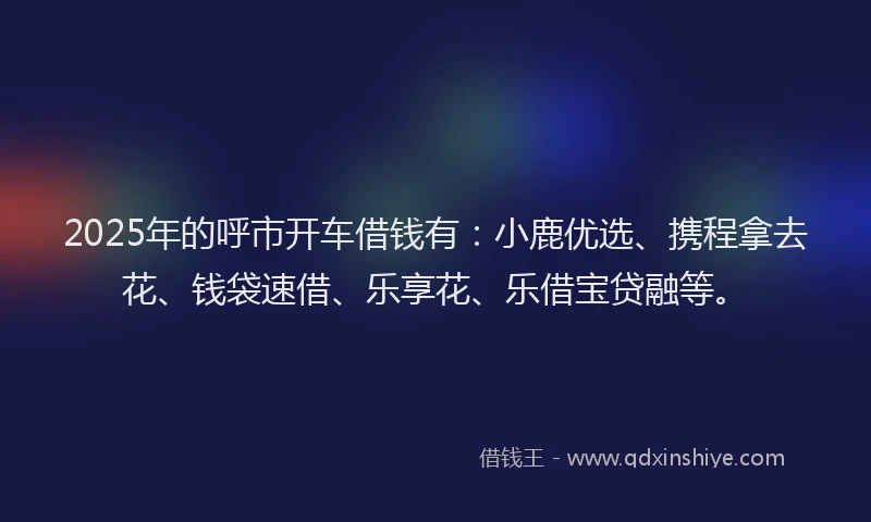 2025年的呼市开车借钱有：小鹿优选、携程拿去花、钱袋速借、乐享花、乐借宝贷融等。