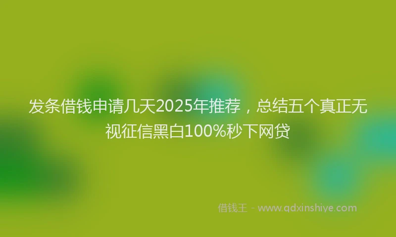 发条借钱申请几天2025年推荐，总结五个真正无视征信黑白100%秒下网贷