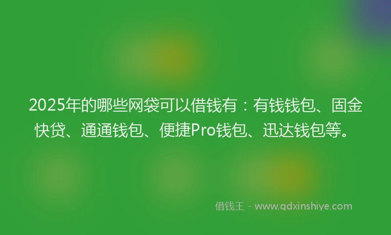 2025年的哪些网袋可以借钱有：有钱钱包、固金快贷、通通钱包、便捷Pro钱包、迅达钱包等。