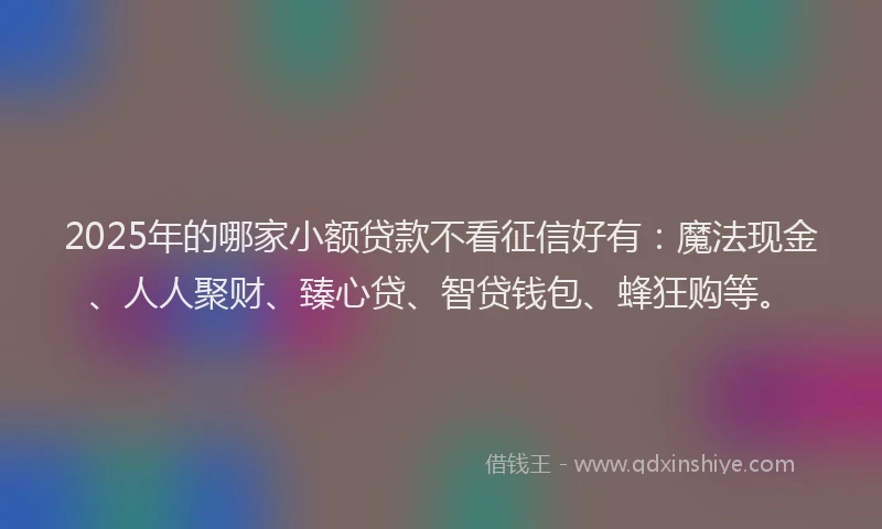2025年的哪家小额贷款不看征信好有：魔法现金、人人聚财、臻心贷、智贷钱包、蜂狂购等。