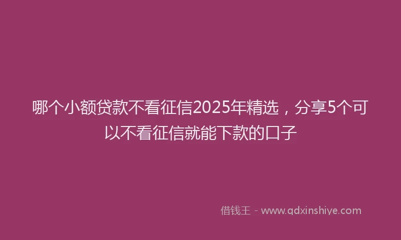 哪个小额贷款不看征信2025年精选，分享5个可以不看征信就能下款的口子