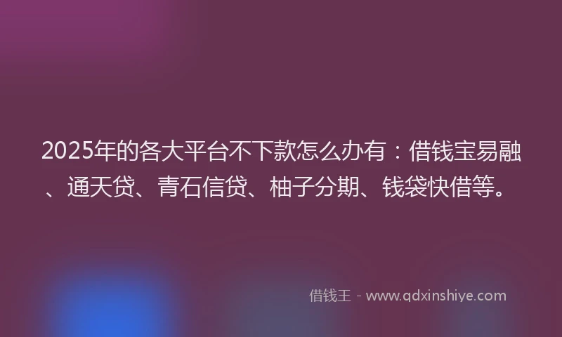 2025年的各大平台不下款怎么办有：借钱宝易融、通天贷、青石信贷、柚子分期、钱袋快借等。