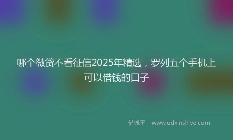 哪个微贷不看征信2025年精选，罗列五个手机上可以借钱的口子