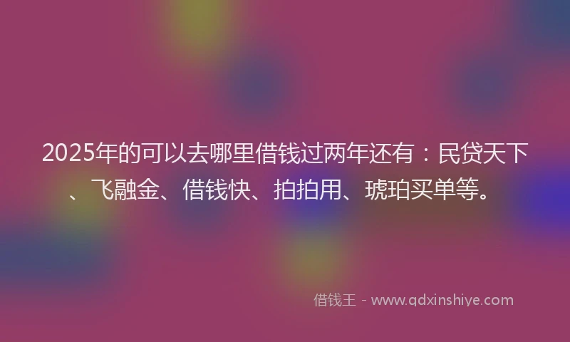 2025年的可以去哪里借钱过两年还有：民贷天下、飞融金、借钱快、拍拍用、琥珀买单等。