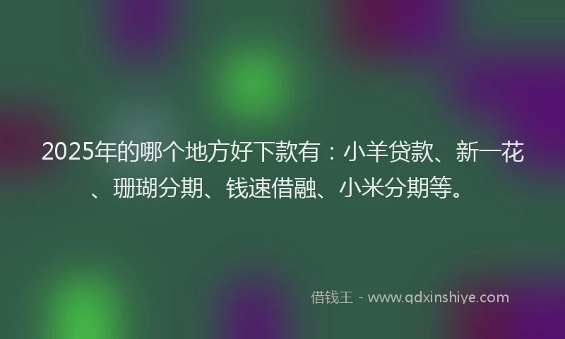 2025年的哪个地方好下款有：小羊贷款、新一花、珊瑚分期、钱速借融、小米分期等。