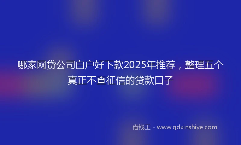 哪家网贷公司白户好下款2025年推荐，整理五个真正不查征信的贷款口子