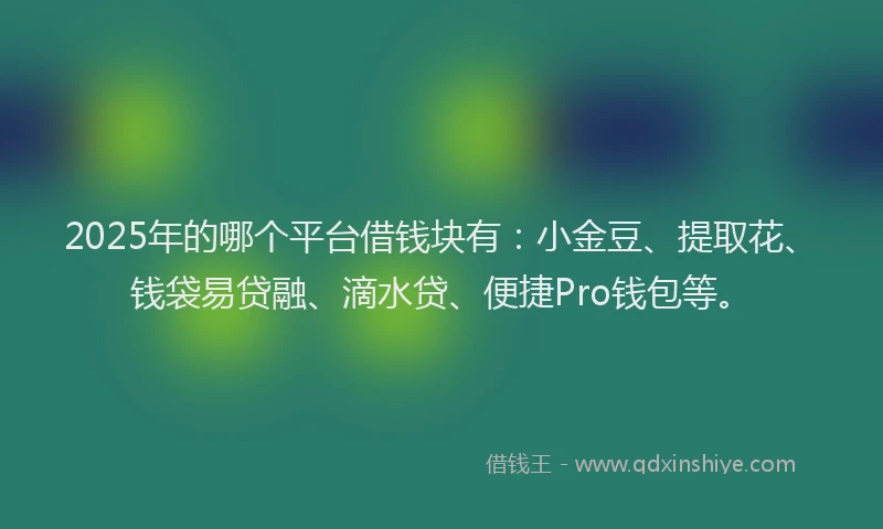 2025年的哪个平台借钱块有：小金豆、提取花、钱袋易贷融、滴水贷、便捷Pro钱包等。