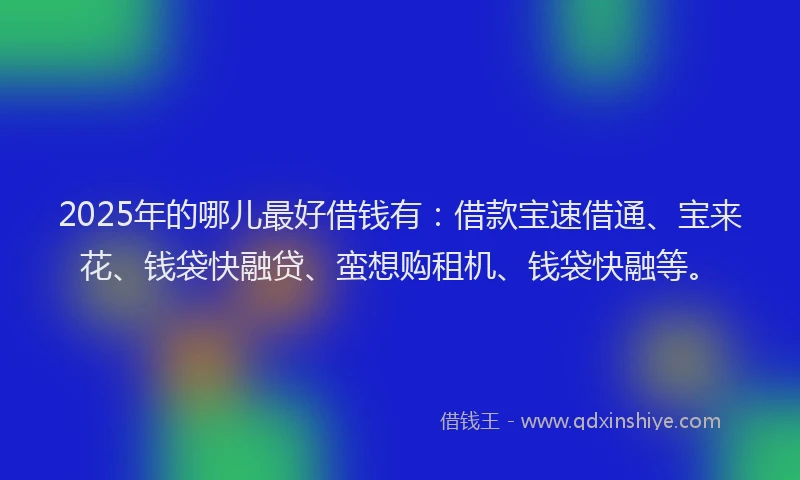 2025年的哪儿最好借钱有：借款宝速借通、宝来花、钱袋快融贷、蛮想购租机、钱袋快融等。