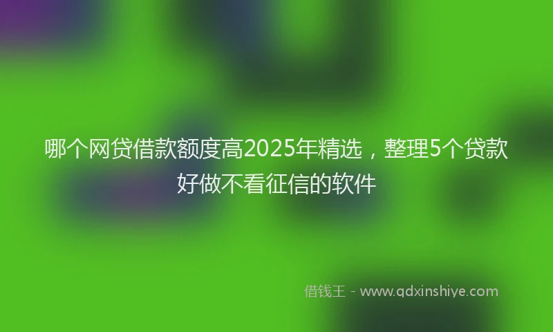 哪个网贷借款额度高2025年精选，整理5个贷款好做不看征信的软件