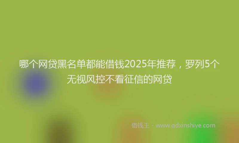 哪个网贷黑名单都能借钱2025年推荐，罗列5个无视风控不看征信的网贷