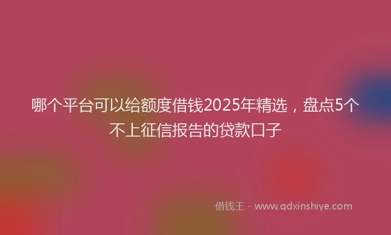 哪个平台可以给额度借钱2025年精选，盘点5个不上征信报告的贷款口子
