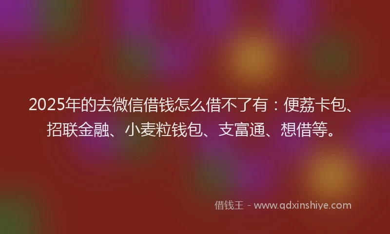 2025年的去微信借钱怎么借不了有：便荔卡包、招联金融、小麦粒钱包、支富通、想借等。
