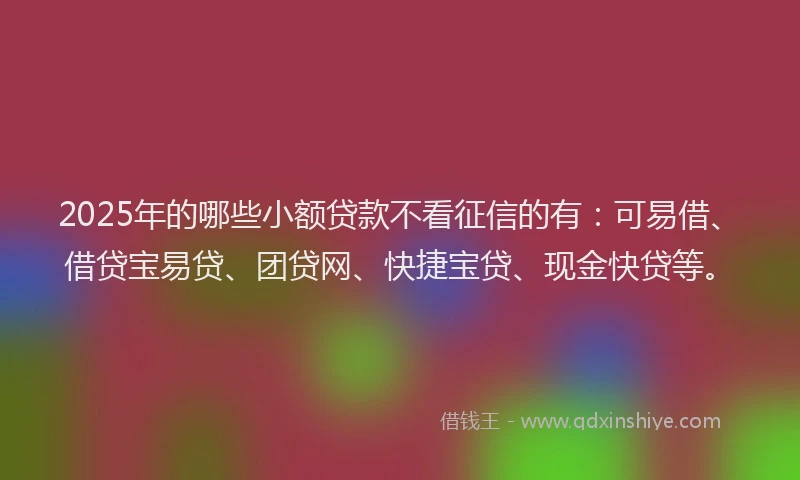 2025年的哪些小额贷款不看征信的有：可易借、借贷宝易贷、团贷网、快捷宝贷、现金快贷等。