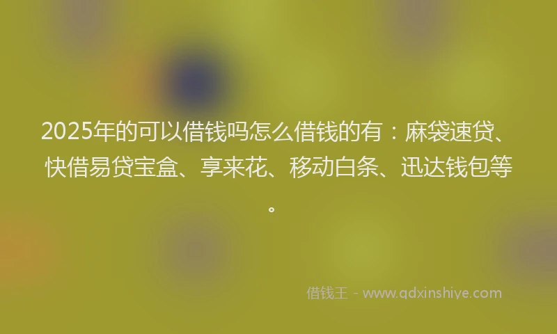 2025年的可以借钱吗怎么借钱的有：麻袋速贷、快借易贷宝盒、享来花、移动白条、迅达钱包等。