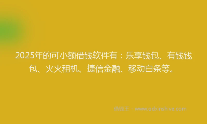 2025年的可小额借钱软件有：乐享钱包、有钱钱包、火火租机、捷信金融、移动白条等。