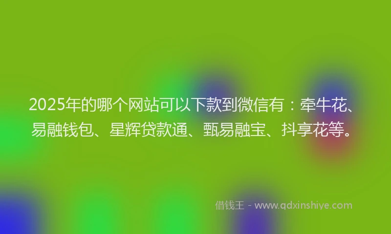 2025年的哪个网站可以下款到微信有：牵牛花、易融钱包、星辉贷款通、甄易融宝、抖享花等。
