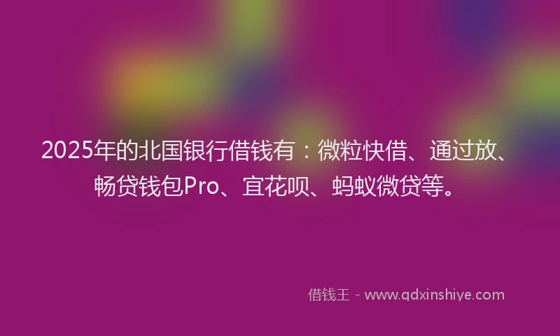 2025年的北国银行借钱有：微粒快借、通过放、畅贷钱包Pro、宜花呗、蚂蚁微贷等。