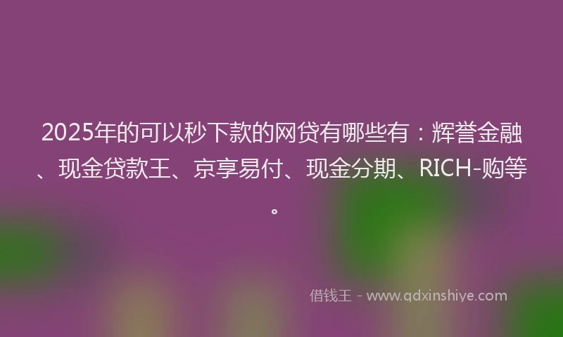 2025年的可以秒下款的网贷有哪些有：辉誉金融、现金贷款王、京享易付、现金分期、RICH-购等。