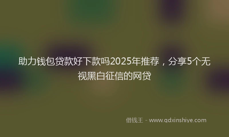 助力钱包贷款好下款吗2025年推荐，分享5个无视黑白征信的网贷