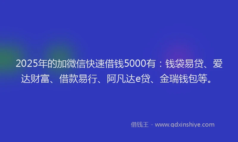 2025年的加微信快速借钱5000有：钱袋易贷、爱达财富、借款易行、阿凡达e贷、金瑞钱包等。