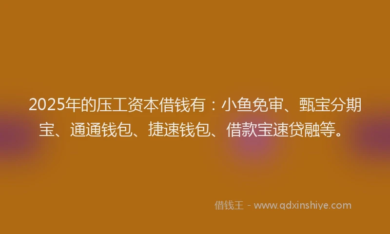 2025年的压工资本借钱有：小鱼免审、甄宝分期宝、通通钱包、捷速钱包、借款宝速贷融等。