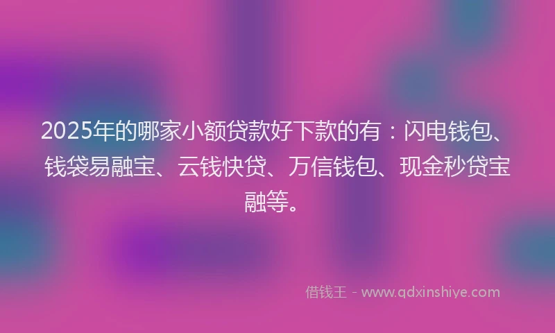 2025年的哪家小额贷款好下款的有：闪电钱包、钱袋易融宝、云钱快贷、万信钱包、现金秒贷宝融等。