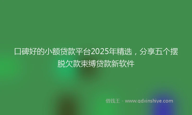 口碑好的小额贷款平台2025年精选，分享五个摆脱欠款束缚贷款新软件