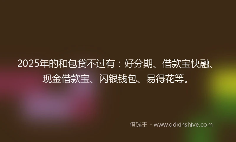 2025年的和包贷不过有：好分期、借款宝快融、现金借款宝、闪银钱包、易得花等。