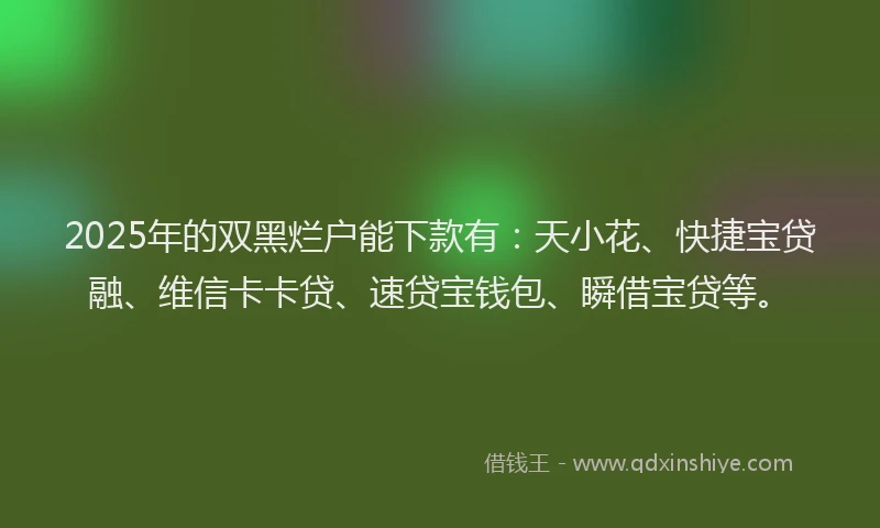 2025年的双黑烂户能下款有：天小花、快捷宝贷融、维信卡卡贷、速贷宝钱包、瞬借宝贷等。
