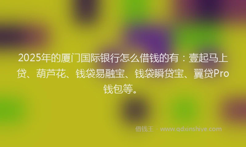 2025年的厦门国际银行怎么借钱的有：壹起马上贷、葫芦花、钱袋易融宝、钱袋瞬贷宝、翼贷Pro钱包等。