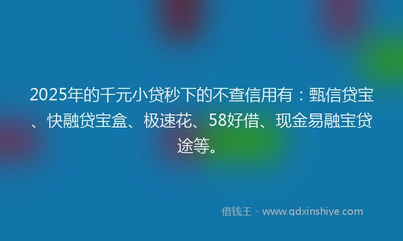 2025年的千元小贷秒下的不查信用有：甄信贷宝、快融贷宝盒、极速花、58好借、现金易融宝贷途等。