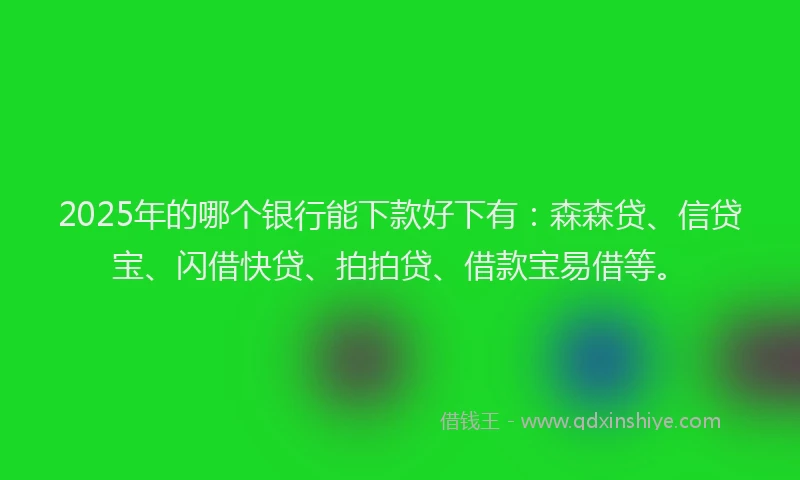2025年的哪个银行能下款好下有：森森贷、信贷宝、闪借快贷、拍拍贷、借款宝易借等。