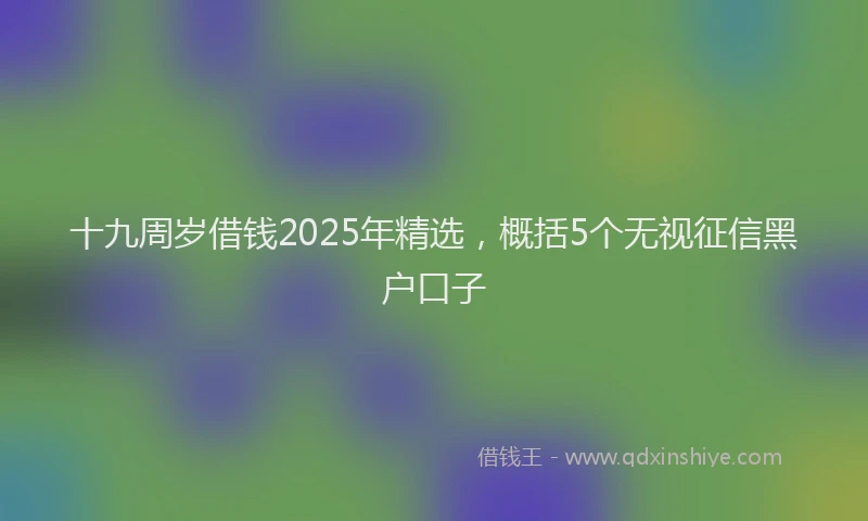 十九周岁借钱2025年精选，概括5个无视征信黑户口子