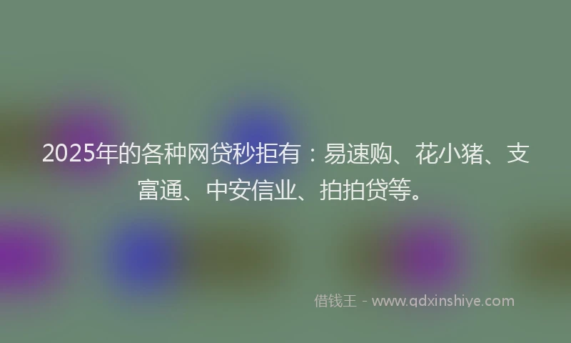 2025年的各种网贷秒拒有：易速购、花小猪、支富通、中安信业、拍拍贷等。
