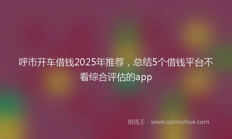 呼市开车借钱2025年推荐，总结5个借钱平台不看综合评估的app