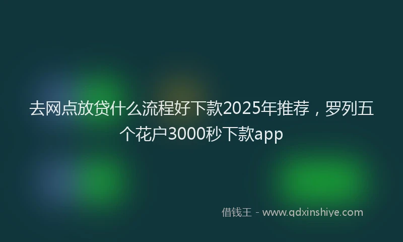 去网点放贷什么流程好下款2025年推荐，罗列五个花户3000秒下款app