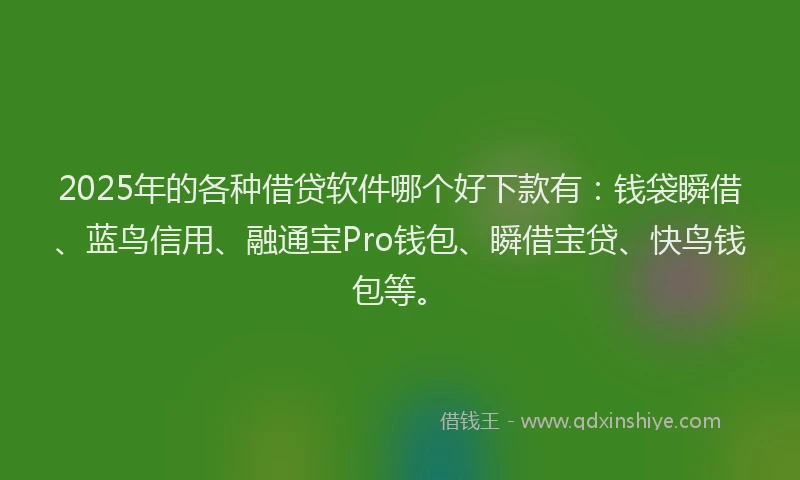 2025年的各种借贷软件哪个好下款有：钱袋瞬借、蓝鸟信用、融通宝Pro钱包、瞬借宝贷、快鸟钱包等。