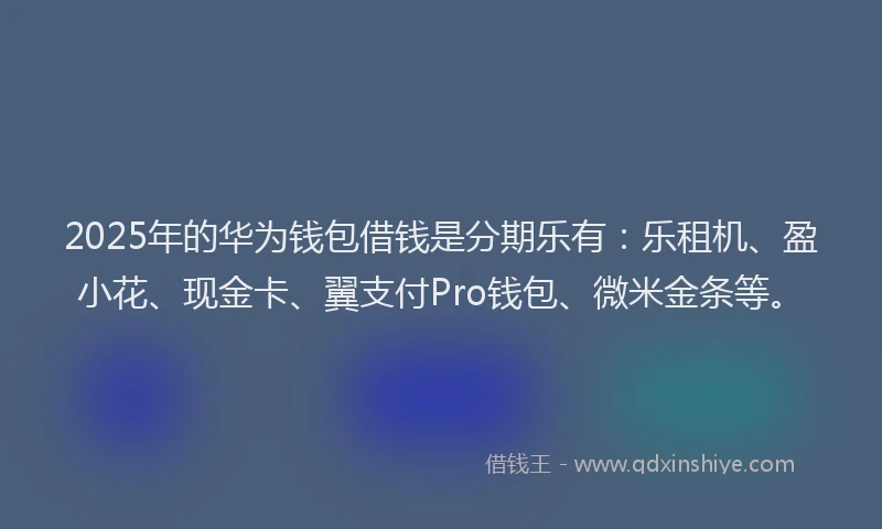 2025年的华为钱包借钱是分期乐有：乐租机、盈小花、现金卡、翼支付Pro钱包、微米金条等。