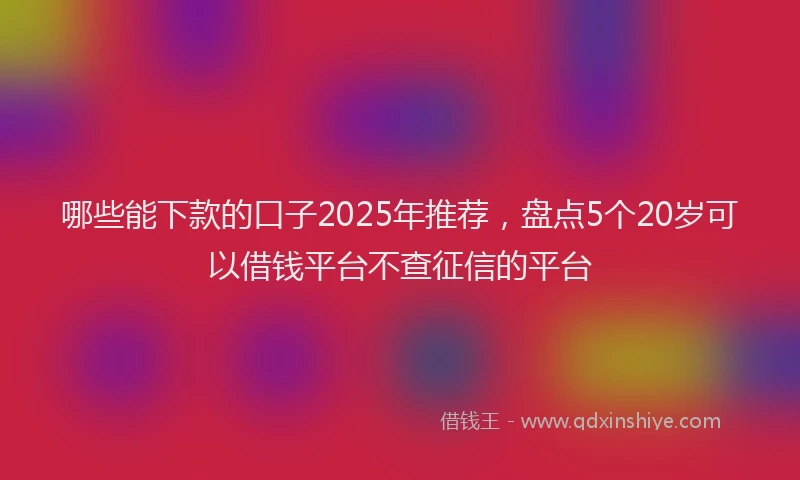 哪些能下款的口子2025年推荐，盘点5个20岁可以借钱平台不查征信的平台